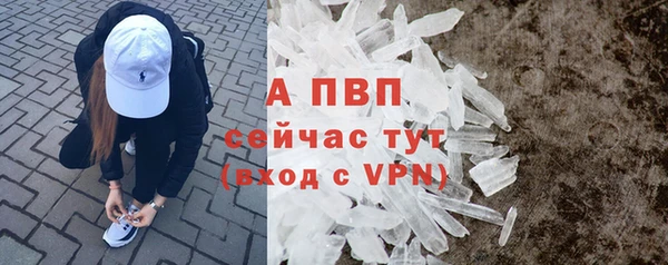 Альфа ПВП Богородск