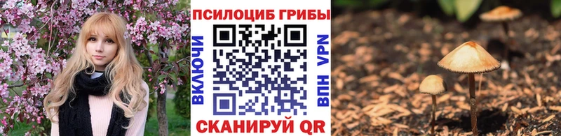 Псилоцибиновые грибы прущие грибы  Новая Усмань 