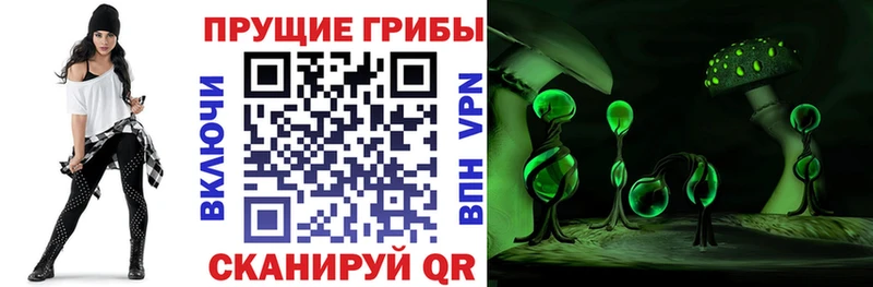 Псилоцибиновые грибы GOLDEN TEACHER Новая Усмань
